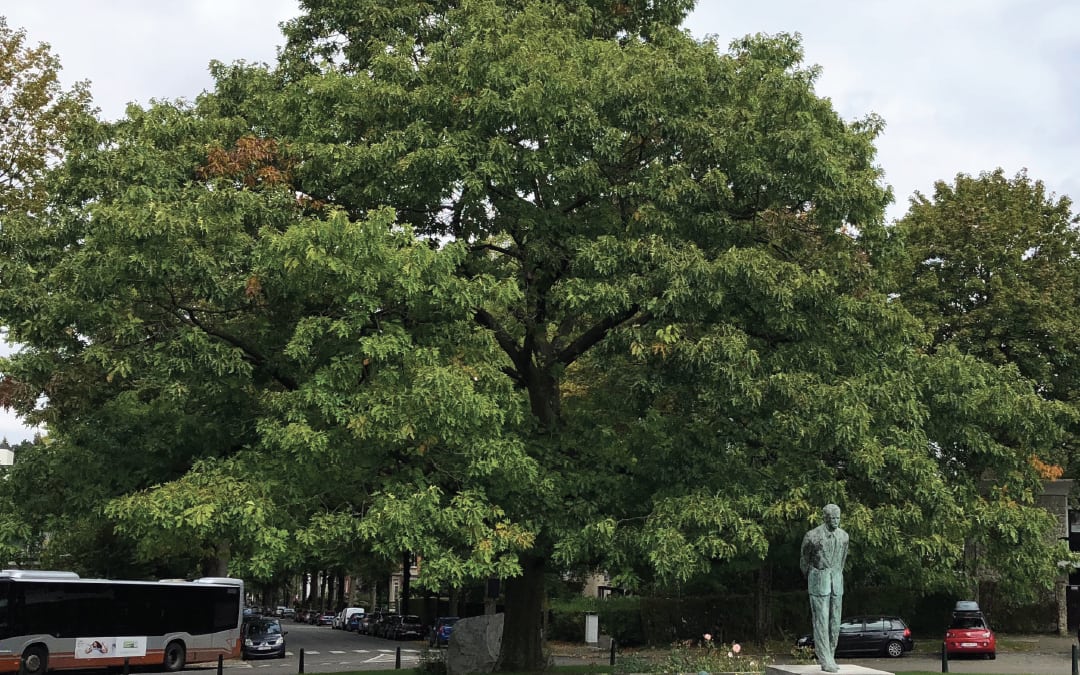 Uccle - Statue du roi Baudouin devant l'Observatoire royal de Belgique